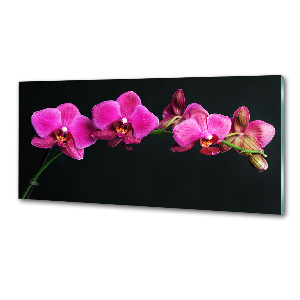 Kitchen splashback Orchid