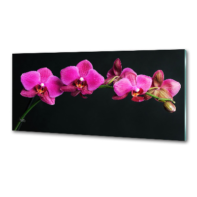 Kitchen splashback Orchid