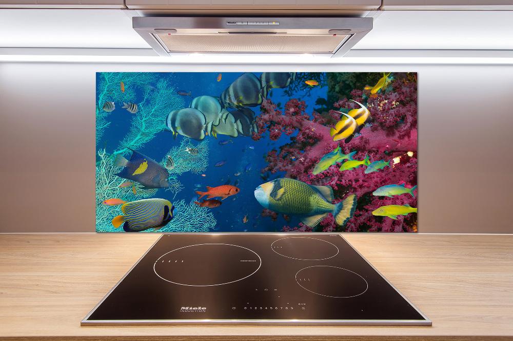 Kitchen splashback Coral reef