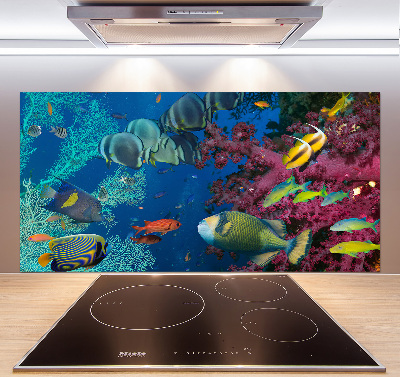 Kitchen splashback Coral reef