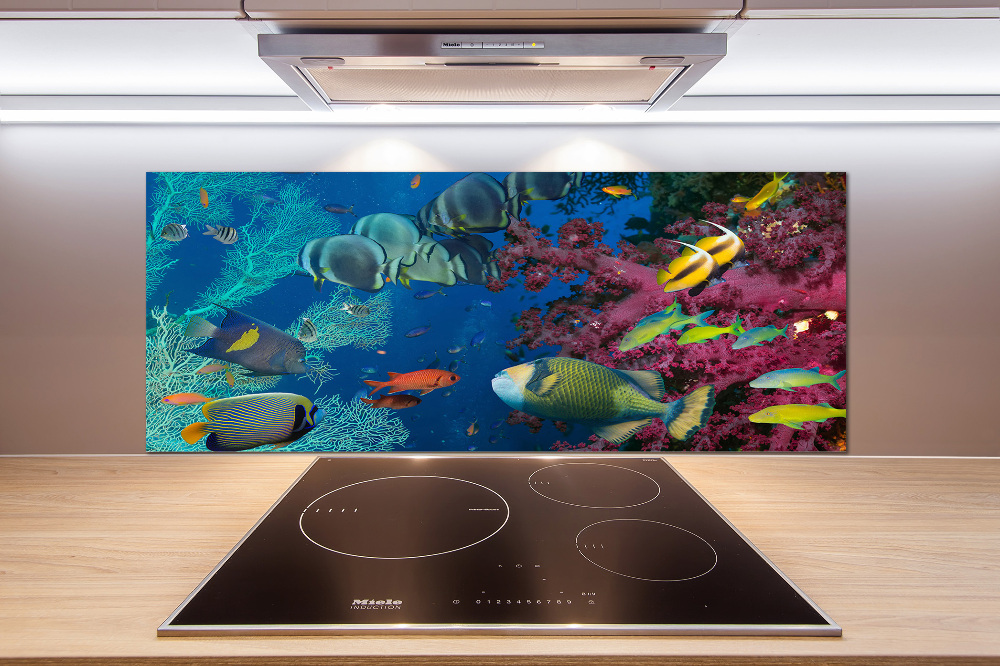 Kitchen splashback Coral reef