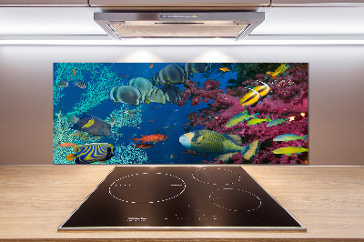 Kitchen splashback Coral reef