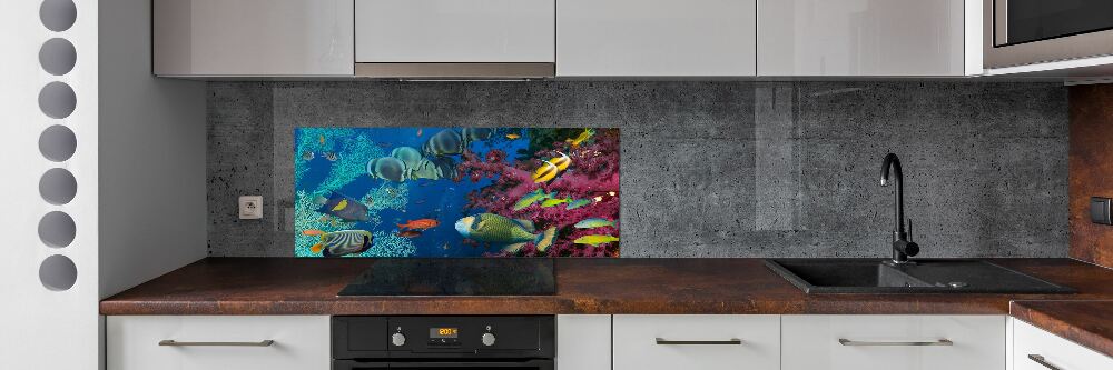 Kitchen splashback Coral reef