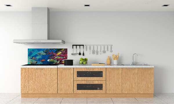 Kitchen splashback Coral reef