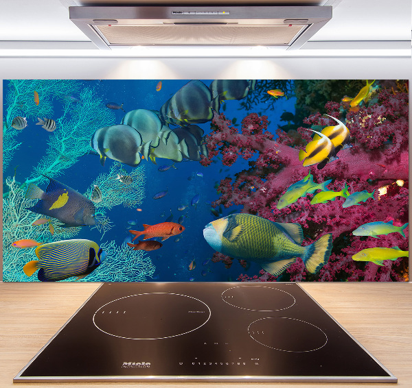 Kitchen splashback Coral reef