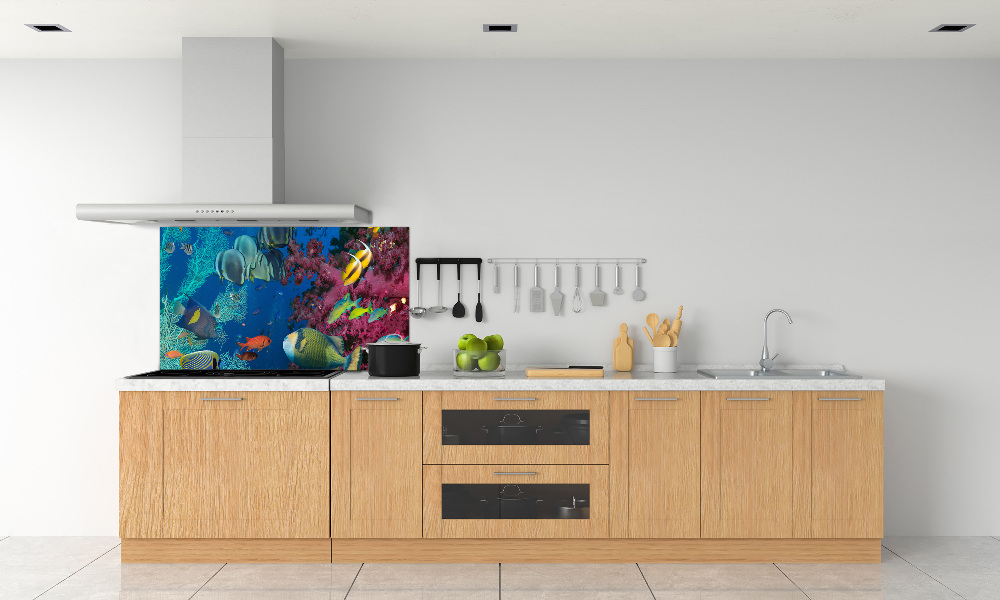 Kitchen splashback Coral reef