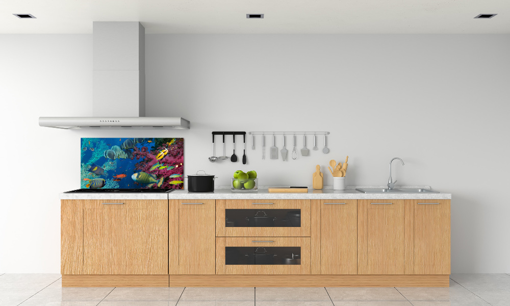 Kitchen splashback Coral reef