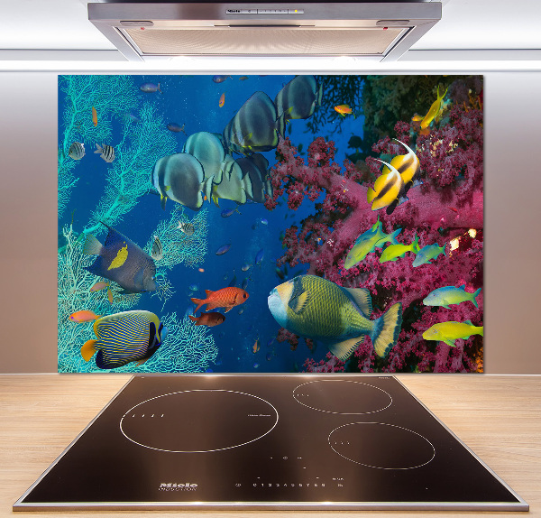 Kitchen splashback Coral reef