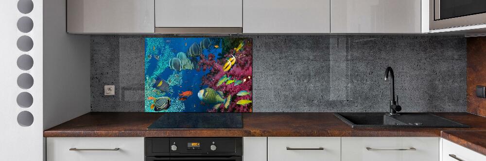 Kitchen splashback Coral reef