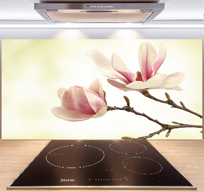 Kitchen splashback Magnolia