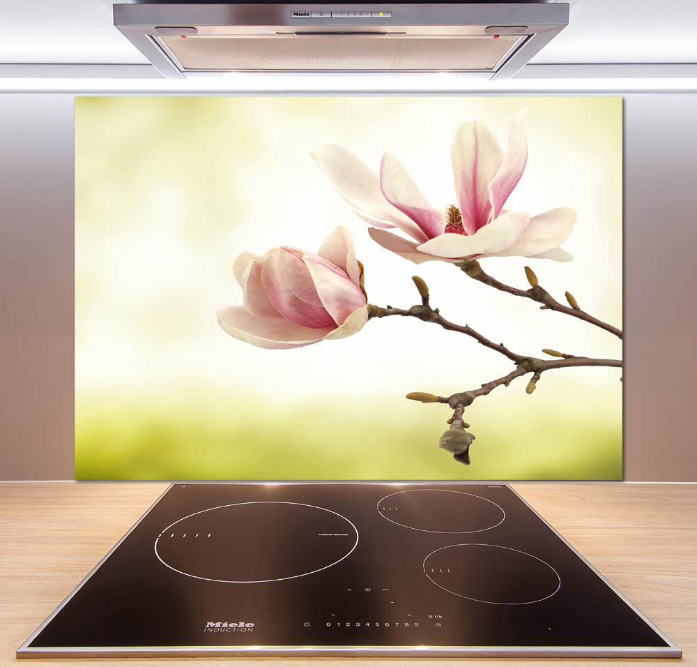 Kitchen splashback Magnolia