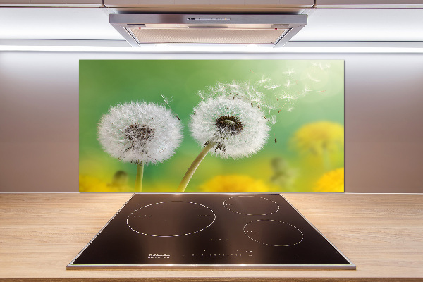 Kitchen splashback dandelions