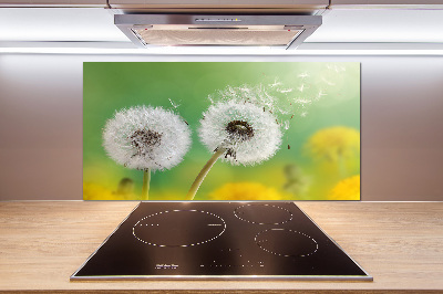 Kitchen splashback dandelions