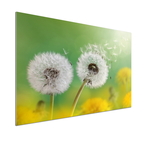 Kitchen splashback dandelions