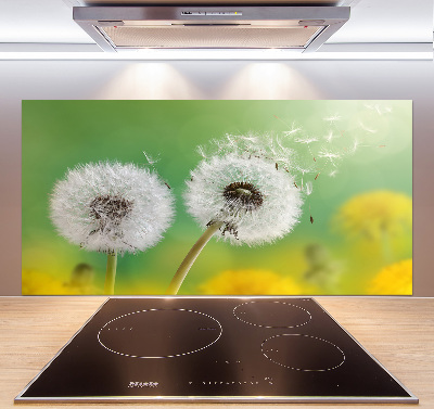 Kitchen splashback dandelions