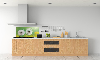 Kitchen splashback dandelions