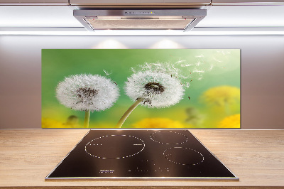 Kitchen splashback dandelions