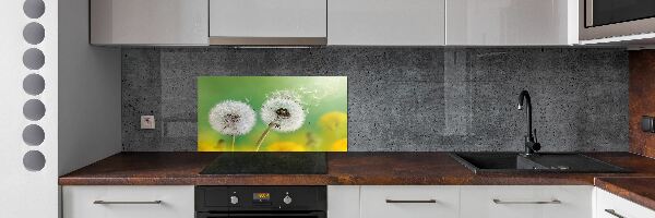 Kitchen splashback dandelions