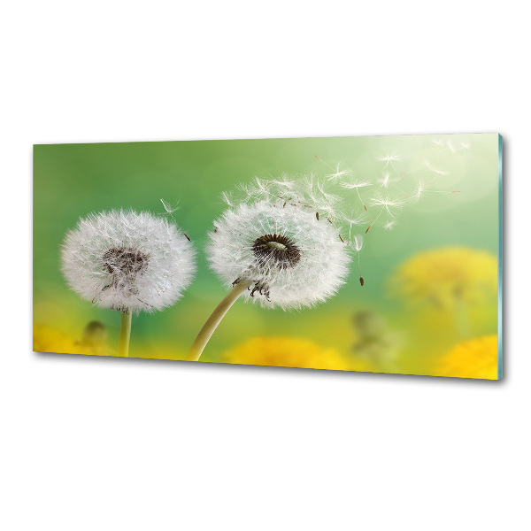 Kitchen splashback dandelions