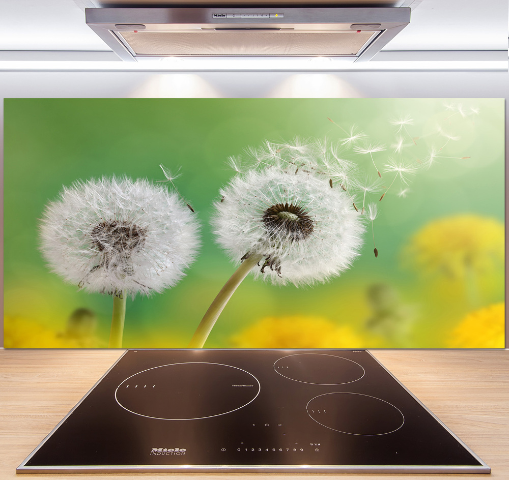 Kitchen splashback dandelions