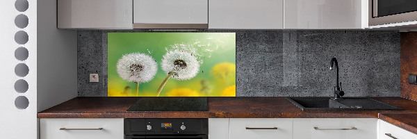 Kitchen splashback dandelions