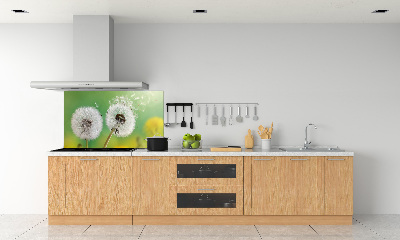 Kitchen splashback dandelions