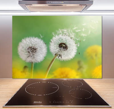 Kitchen splashback dandelions