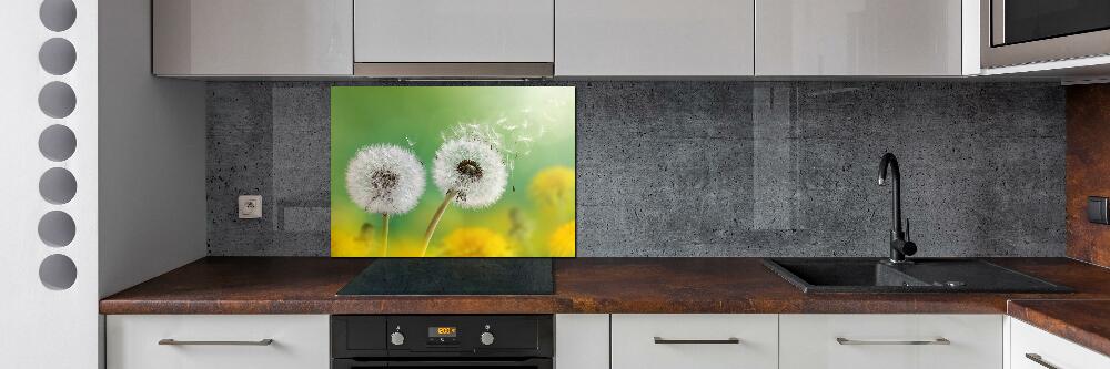 Kitchen splashback dandelions