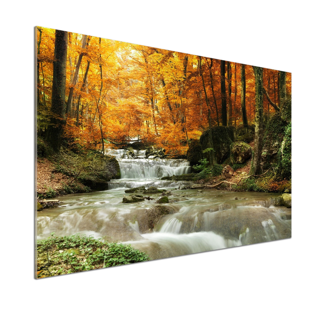 Kitchen splashback panel Waterfall in the forest