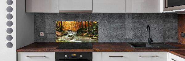 Kitchen splashback panel Waterfall in the forest