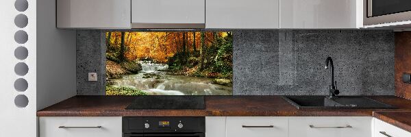 Kitchen splashback panel Waterfall in the forest