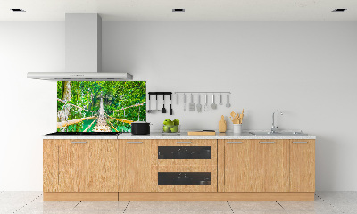 Kitchen splashback Bamboo forest bridge