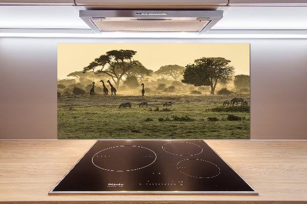 Kitchen splashback Giraffes in the savanna