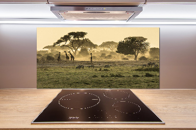 Kitchen splashback Giraffes in the savanna