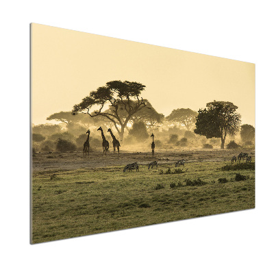 Kitchen splashback Giraffes in the savanna