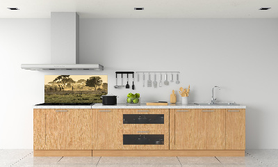 Kitchen splashback Giraffes in the savanna