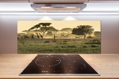 Kitchen splashback Giraffes in the savanna