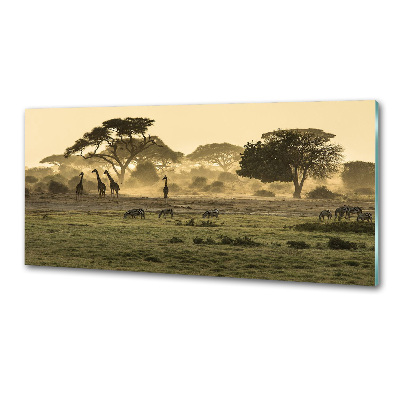 Kitchen splashback Giraffes in the savanna