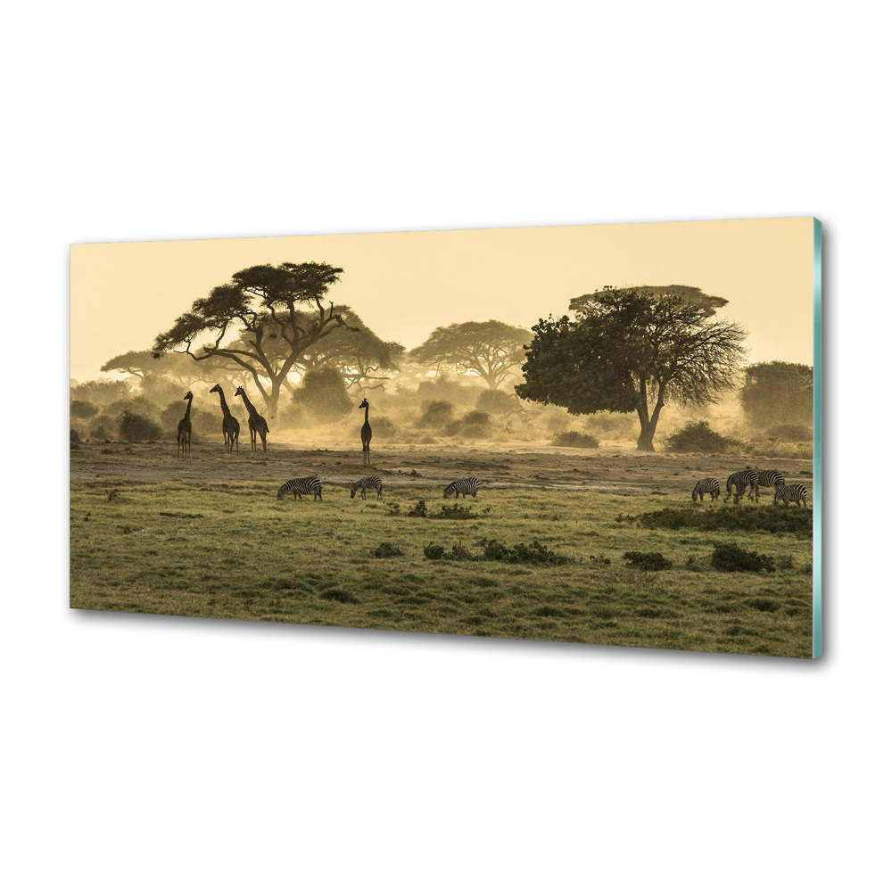 Kitchen splashback Giraffes in the savanna