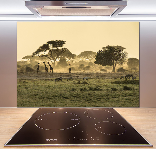 Kitchen splashback Giraffes in the savanna