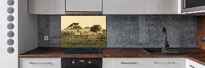 Kitchen splashback Giraffes in the savanna