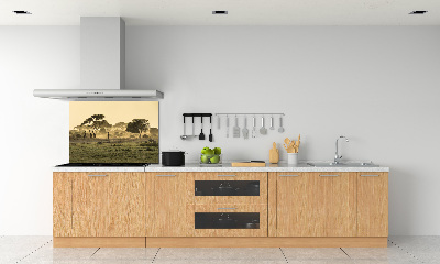 Kitchen splashback Giraffes in the savanna