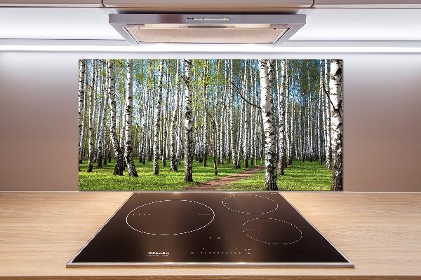 Kitchen wall panels Birch forest