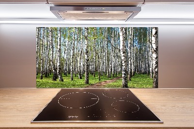 Kitchen wall panels Birch forest