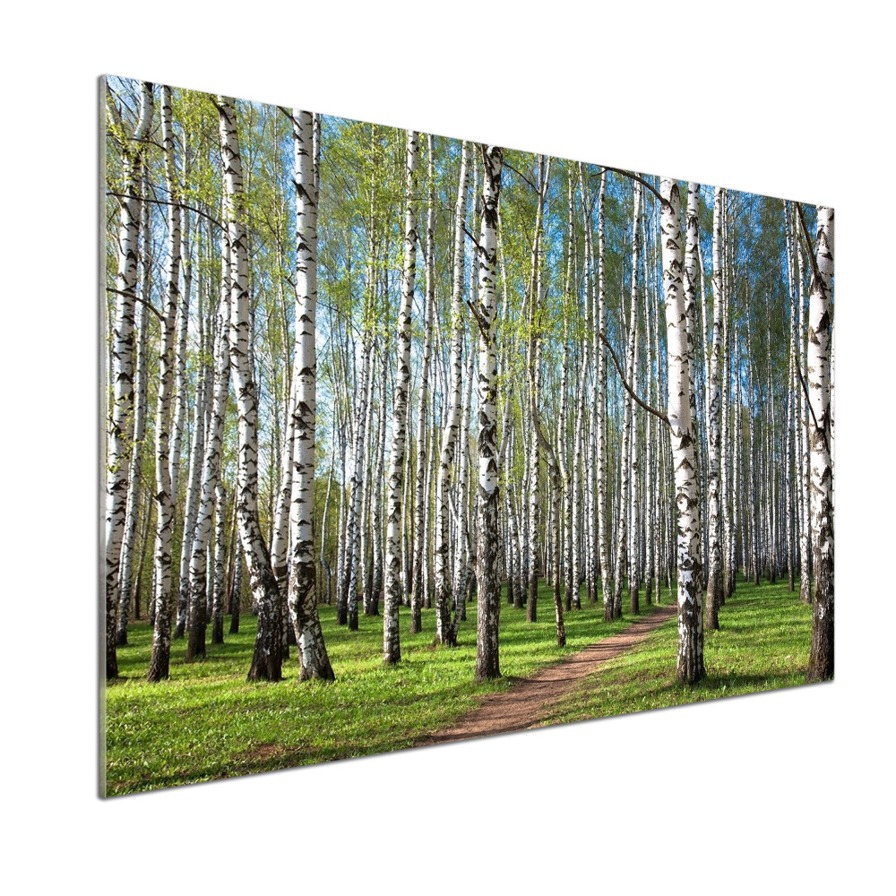 Kitchen wall panels Birch forest