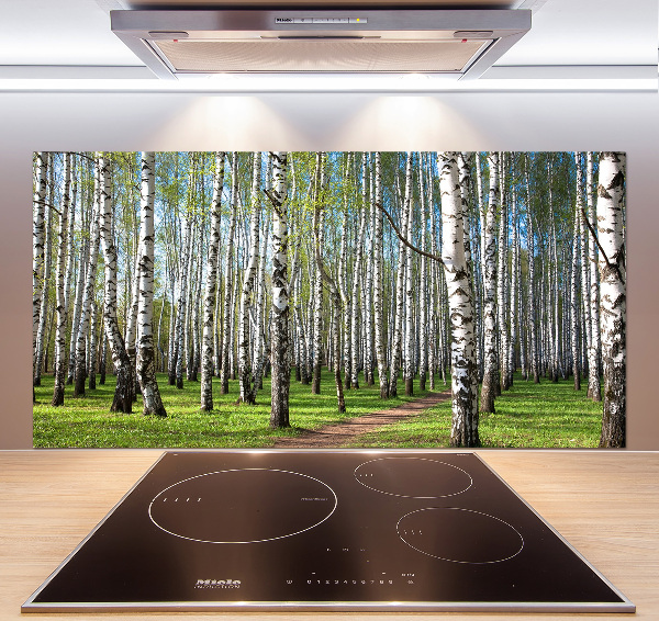 Kitchen wall panels Birch forest