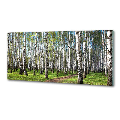 Kitchen wall panels Birch forest