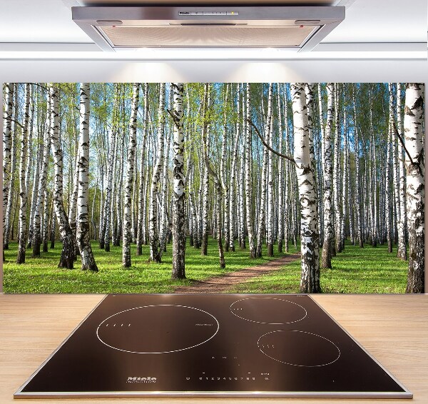 Kitchen wall panels Birch forest