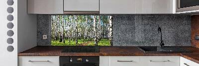 Kitchen wall panels Birch forest