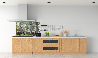 Kitchen wall panels Birch forest